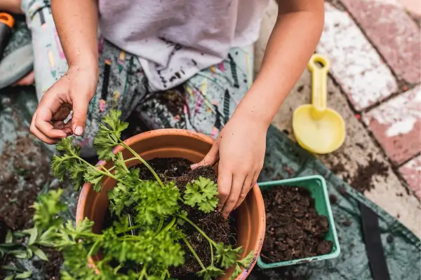 Jardins Felizes: Estratégias de Manutenção para Florescer a Alegria