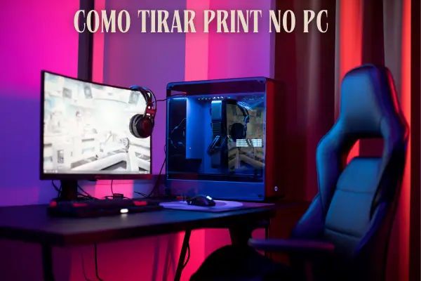 Como tirar print no pc